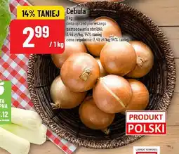 Polomarket Cebula POLOmarket oferta