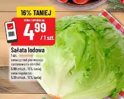 Polomarket Sałata lodowa POLOmarket oferta