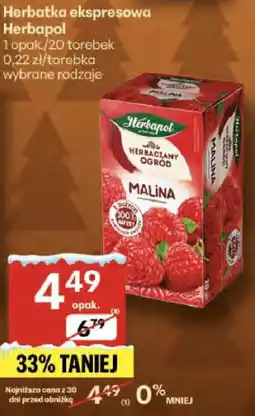 Delikatesy Centrum Herbata ekspresowa Herbapol wybrane rodzaje oferta