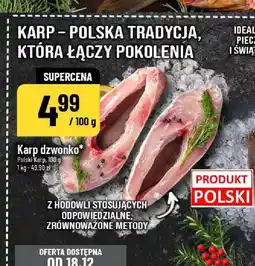 Polomarket Karp dzwonko POLOmarket oferta