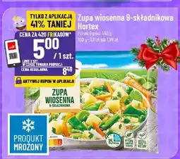 Polomarket Zupa wiosenna 9-składnikowa Hortex oferta