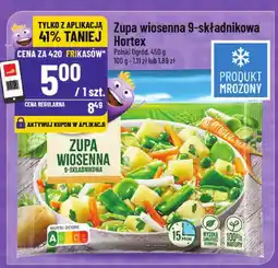 Polomarket Zupa wiosenna 9-składnikowa Hortex oferta
