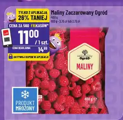 Polomarket Maliny Zaczarowany Ogród mrożone oferta