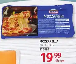 Selgros Ser Mozzarella ok. 2,5 kg Hochland oferta