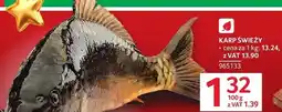 Selgros Karp świeży Selgros oferta