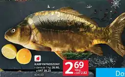 Selgros Karp patroszony świeży Selgros oferta