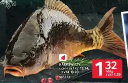 Selgros Karp świeży Selgros oferta