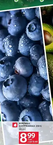 Selgros Borówka amerykańska Selgros oferta