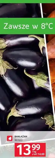 Selgros Bakłażan Selgros oferta