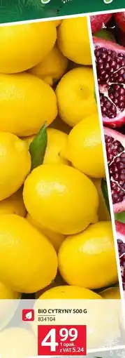 Selgros Cytryna Bio Selgros oferta