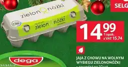 Selgros Jaja z chowu na wolnym wybiegu zielononóżki sprzedaż po 10 szt. Selgros oferta
