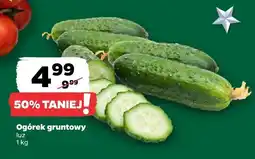 Netto Ogórek gruntowy Netto oferta