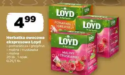 Netto Herbatka owocowa ekspresowa Loyd pomarańcza i grejpfrut, malina i truskawka, malina oferta