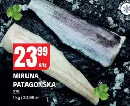 Chorten Ryba Miruna Patagońska zamrożona Chorten oferta