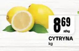 Chorten Cytryna Chorten oferta