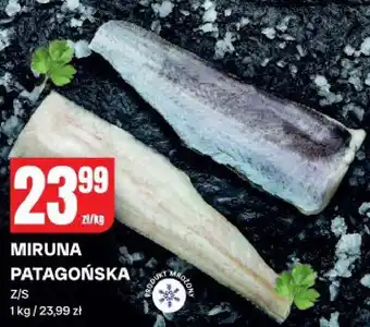 Miruna patagońska ryba Z/S