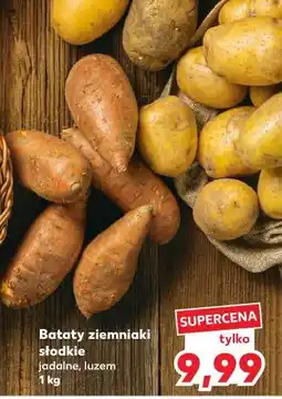 Kaufland Bataty słodkie ziemniaki oferta