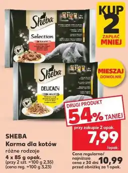Kaufland Karma dla psów Sheba oferta