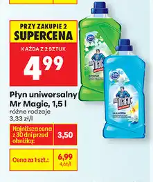 Biedronka Płyn uniwersalny Magic 1,5 L oferta