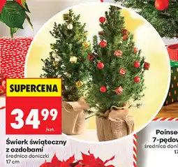 Biedronka Świerk świąteczny z ozdobami oferta