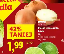 Lidl Cebula Polski oferta
