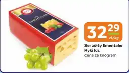 Gama Ser Ryki oferta