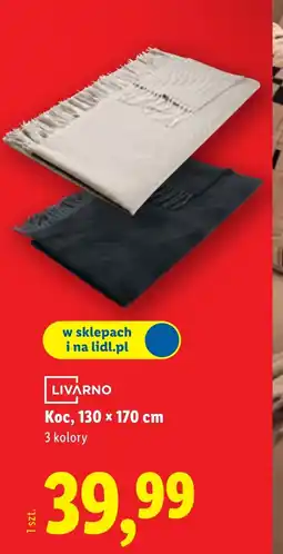 Lidl Koc Livarno oferta