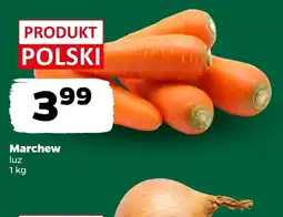 Netto Marchew Polski oferta