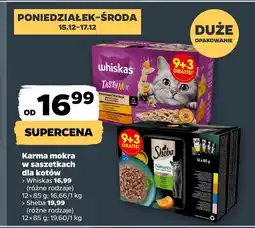 Netto Mokra karma dla kota Sheba oferta