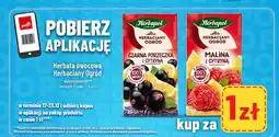 Polomarket Herbata owocowa Herbaciany Ogród (Czarna Porzeczka z Cytryną / Malina z Cytryną) oferta