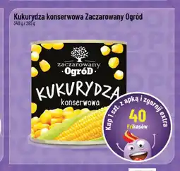 Polomarket Kukurydza konserwowa Zaczarowany Ogród 340g/285g oferta