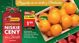 Biedronka Pomarańcze deserowe na wagę Biedronka oferta