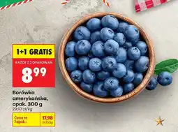 Biedronka Borówka amerykańska Biedronka oferta