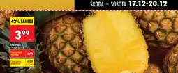 Biedronka Ananas Biedronka oferta