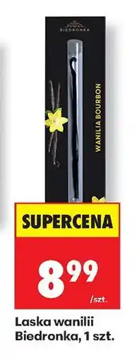 Biedronka Laska wanilii Biedronka oferta