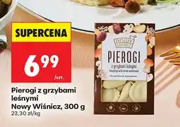 Biedronka Pierogi z grzybami leśnymi Nowy Wiśnicz oferta