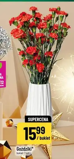 Polomarket Goździki oferta