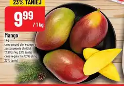 Polomarket Mango oferta