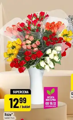 Polomarket Róże oferta