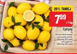 Polomarket Cytryny oferta