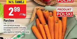 Polomarket Marchew oferta