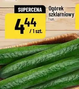 Polomarket Ogórek szklarniowy oferta