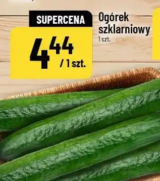Polomarket Ogórek szklarniowy oferta