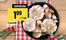 Polomarket Czosnek oferta