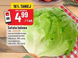Polomarket Sałata lodowa oferta