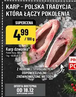 Polomarket Karp dzwonko oferta