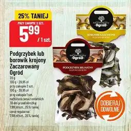 Polomarket Zaczarowany Ogród Podgrzybek lub borowik krojony oferta