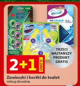 Auchan Zawieszki i kostki do toalet oferta
