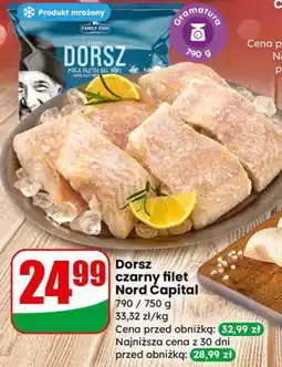 Dino Dorsz czarny filet Nord Capital oferta
