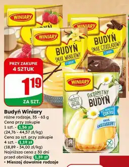 Dino Budyń Winiary oferta